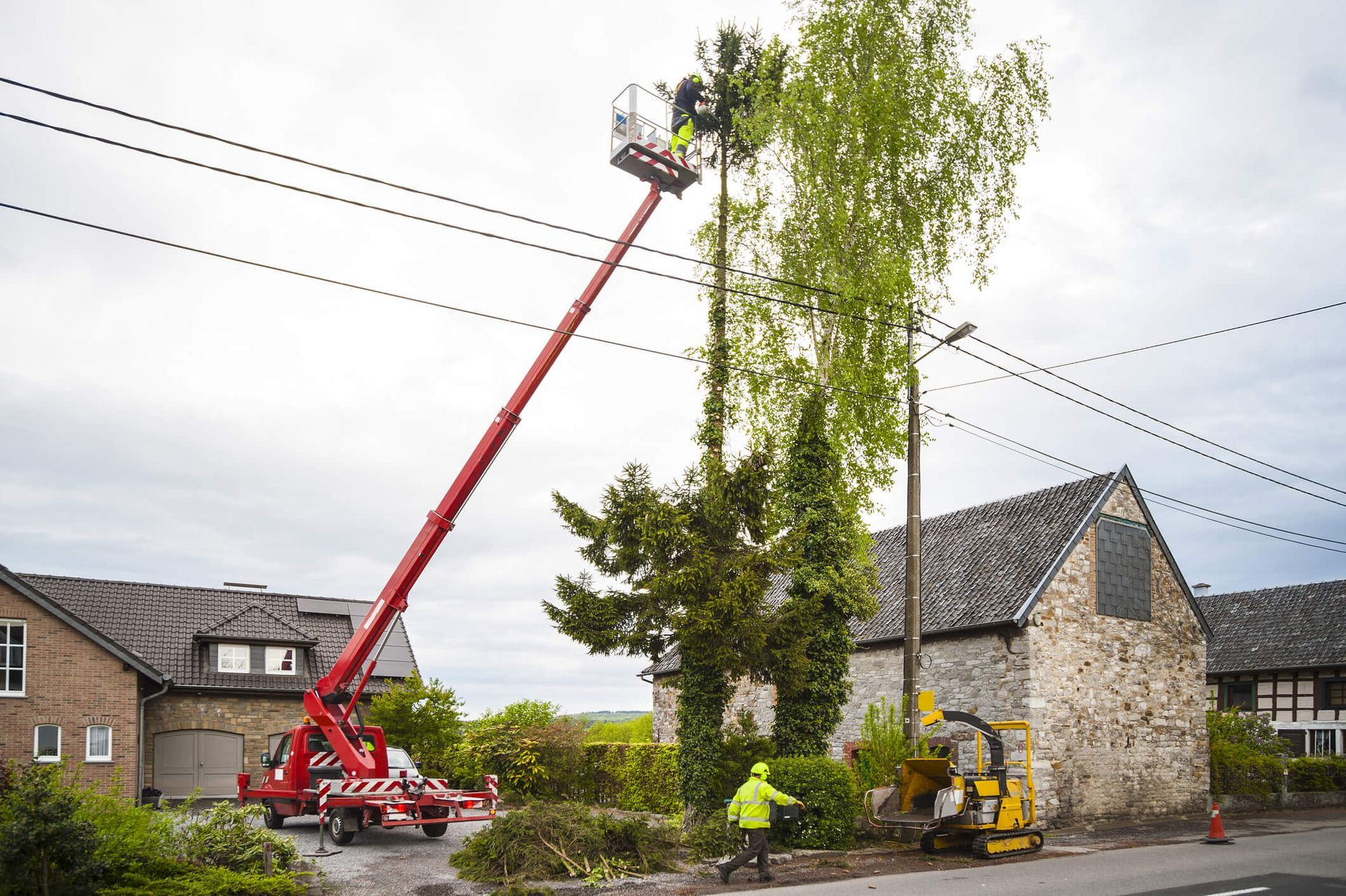 Never Make These Mistakes When Cutting Down a Tree