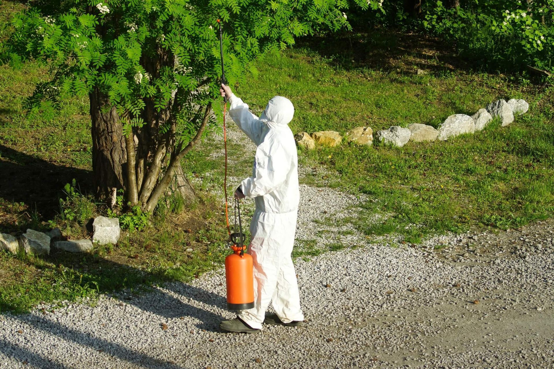 SYS Enterprises demonstrating an arborist at work in Charlestown, Indiana, performing tree care tasks such as pruning and diagnosing tree diseases.