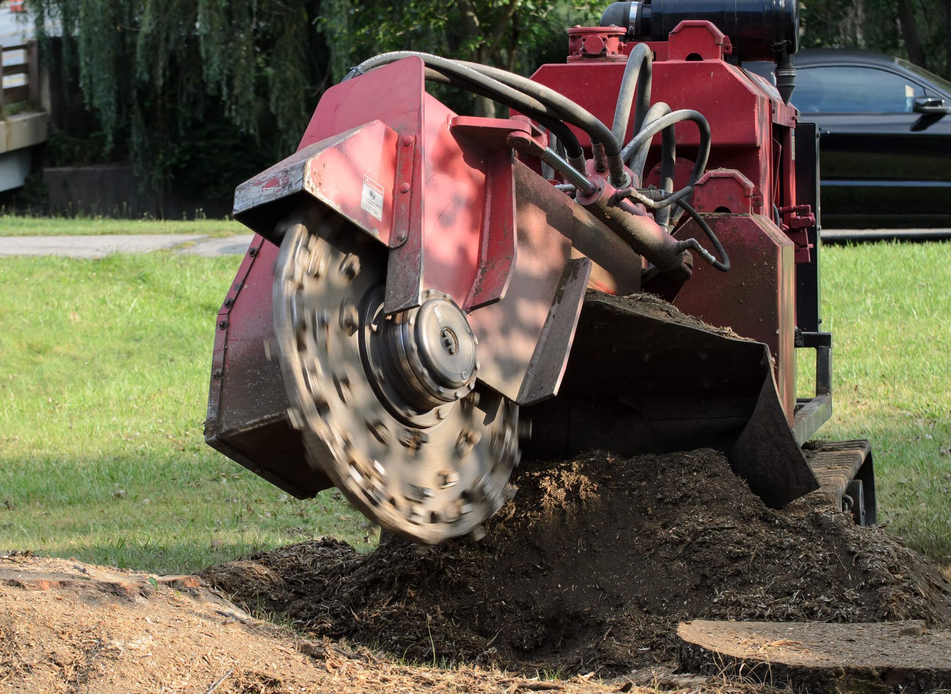 SYS Enterprises using wood chips from stump grinding in Charlestown, Indiana, to mulch garden beds and improve soil quality.