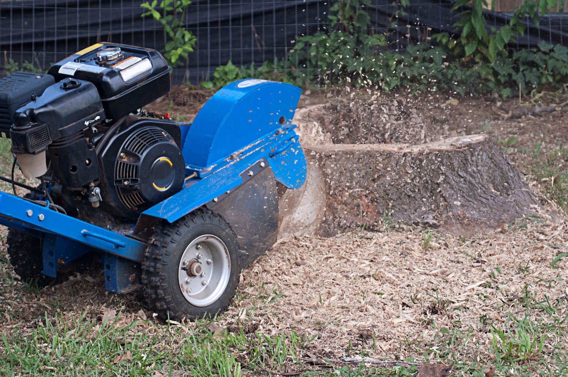 SYS Enterprises team grinding a tree stump in Charlestown, Indiana, highlighting how tree roots break down over time and affect soil stability.