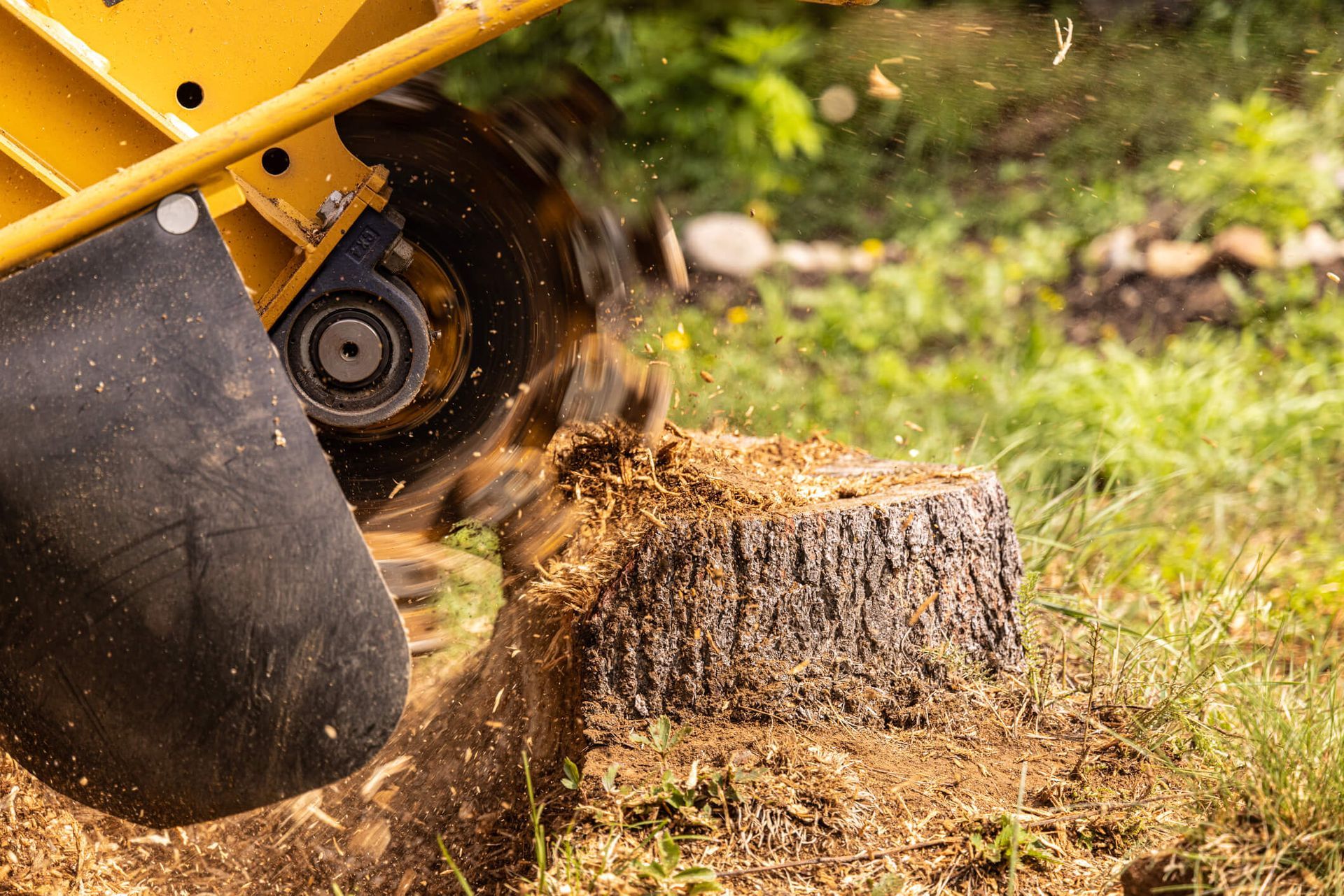 SYS Enterprises offering guidance on stump grinding in Charlestown, Indiana.