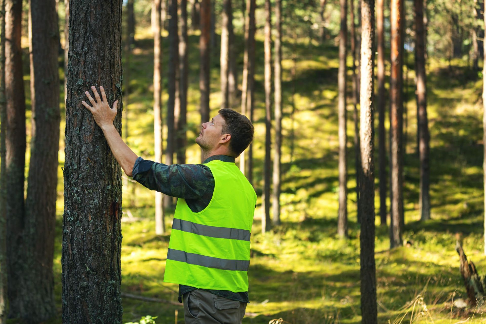 Learn what to expect from a tree removal estimate with SYS Enterprises in Charlestown, IN, including steps, costs, and expert guidance. A homeowner discussing tree removal options with a SYS Enterprises professional during an on-site visit in Charlestown, IN.