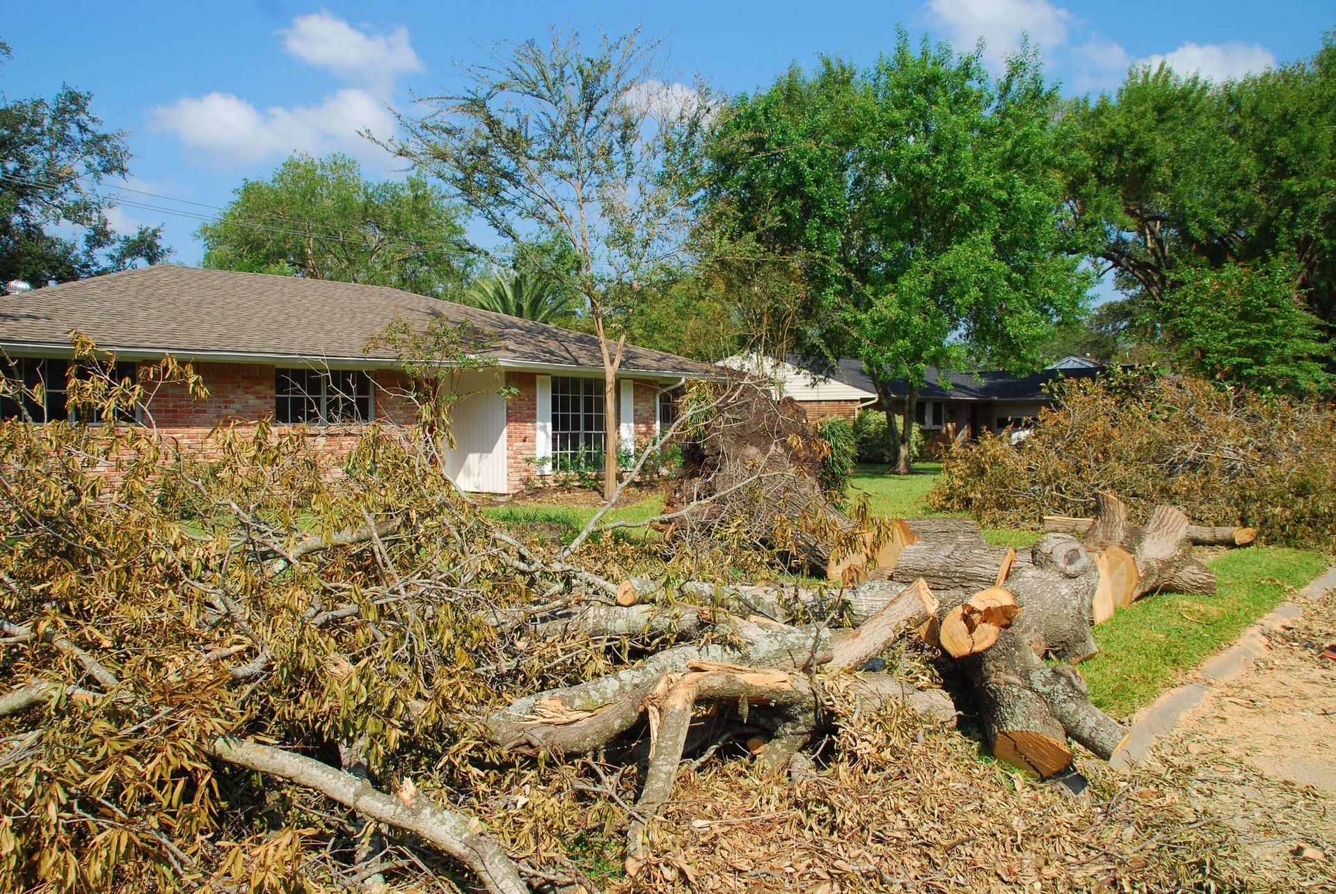 SYS Enterprises discussing fallen tree removal responsibilities in Charlestown, Indiana, including considerations for property owners and insurance policies.