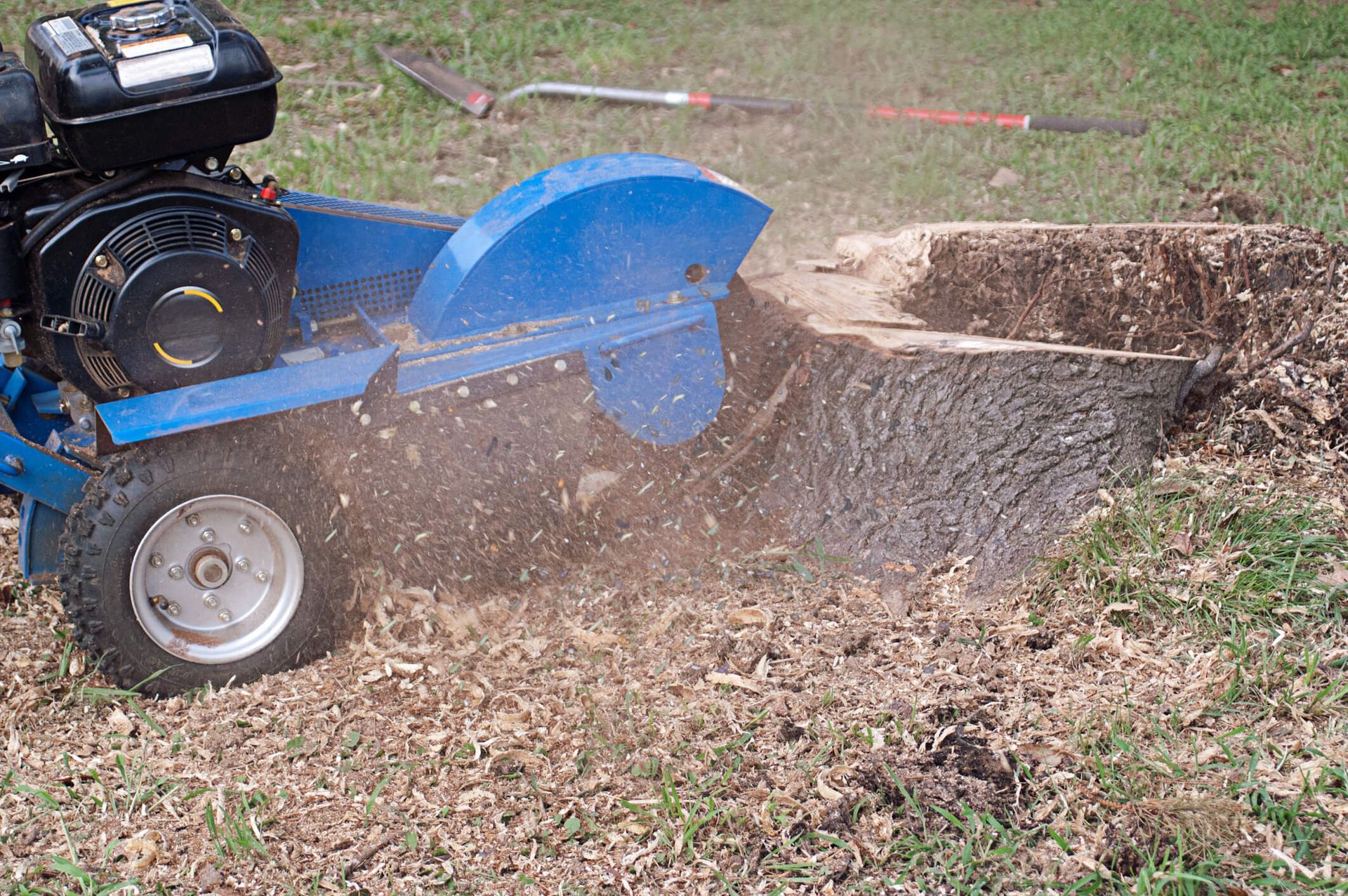 SYS Enterprises team grinding a tree stump in Charlestown, Indiana, demonstrating the benefits of stump removal for a cleaner, safer yard.