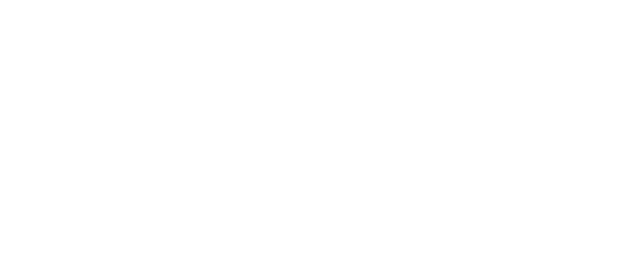 Bleu's Event Planning logo