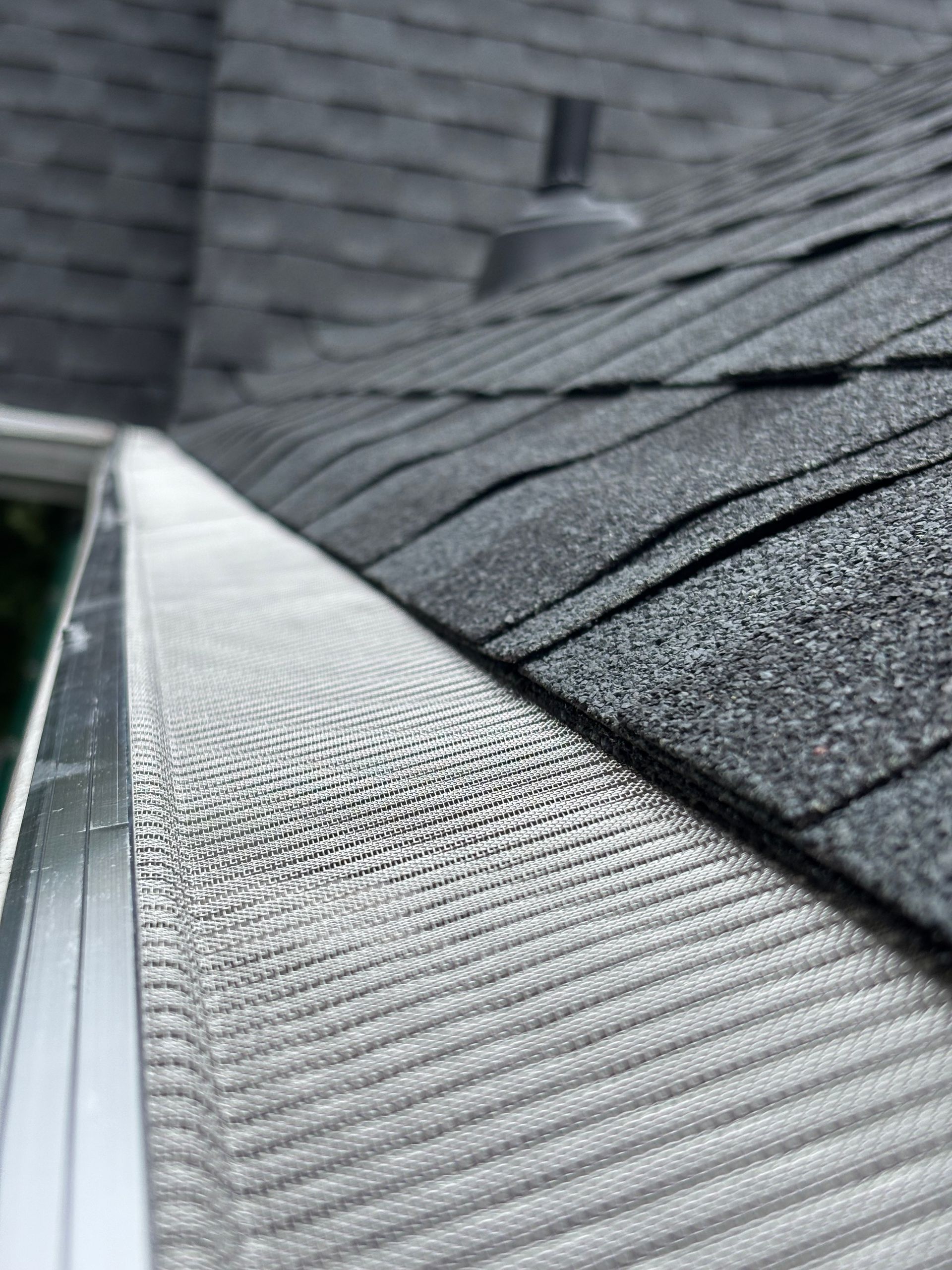 Gutter guard installed on a dark asphalt shingle roof. The mesh screen protects the gutter from debris.