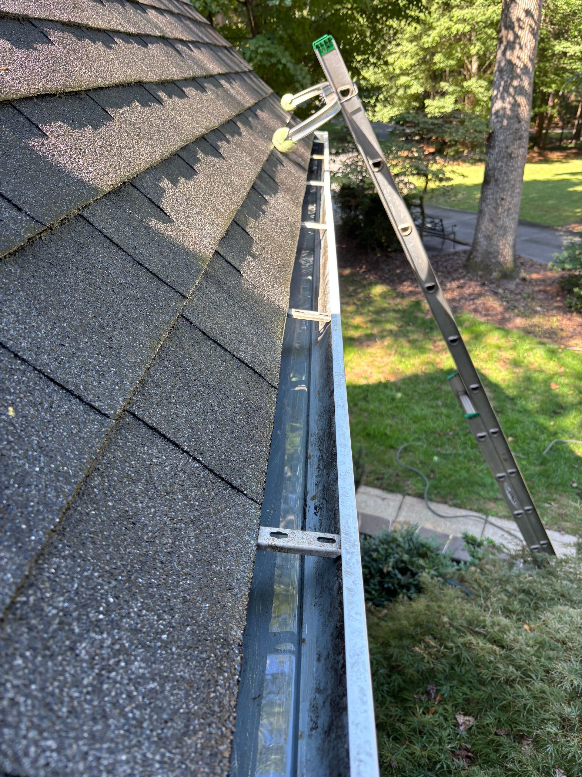 Ladder leaning against a roof, next to a gutter. Green trees and grass in the background.