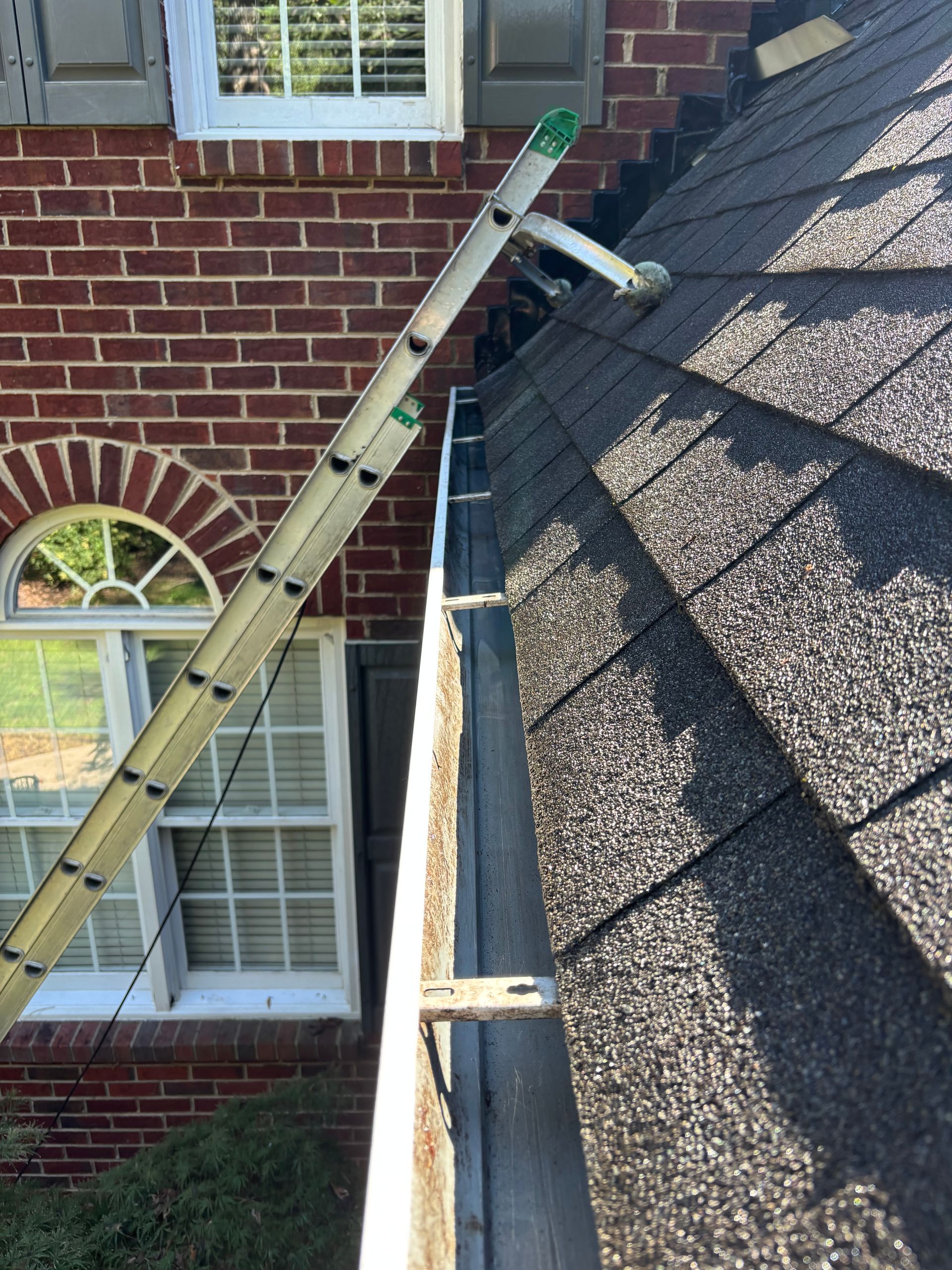 Ladder leaning against a brick house, reaching the roof's gutter.