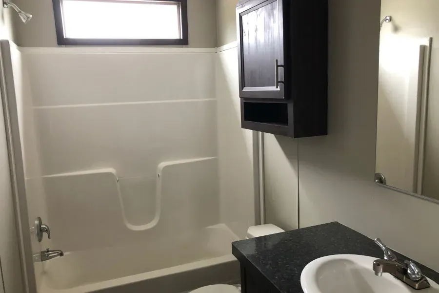 A bathroom with a sink , toilet and shower.