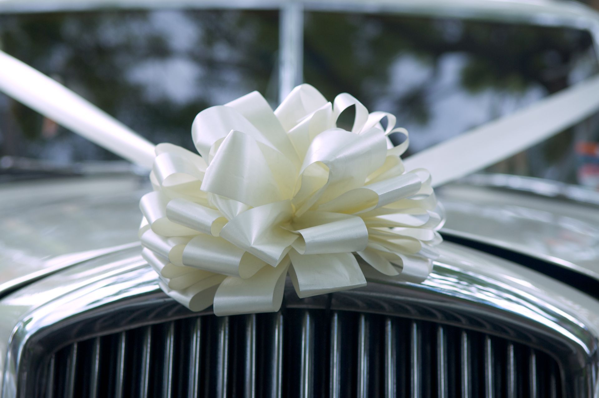 The front of a wedding car with a white bow on it