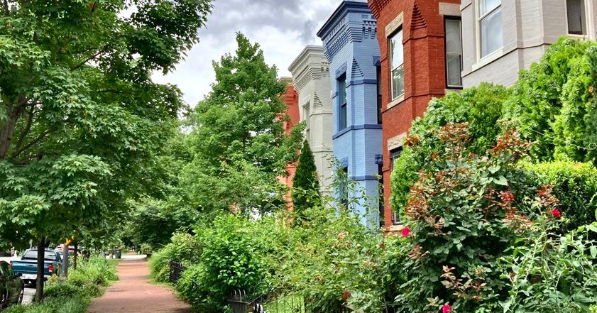 capitol hill dc moving services