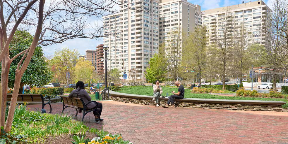 friendship heights dc and md moving services