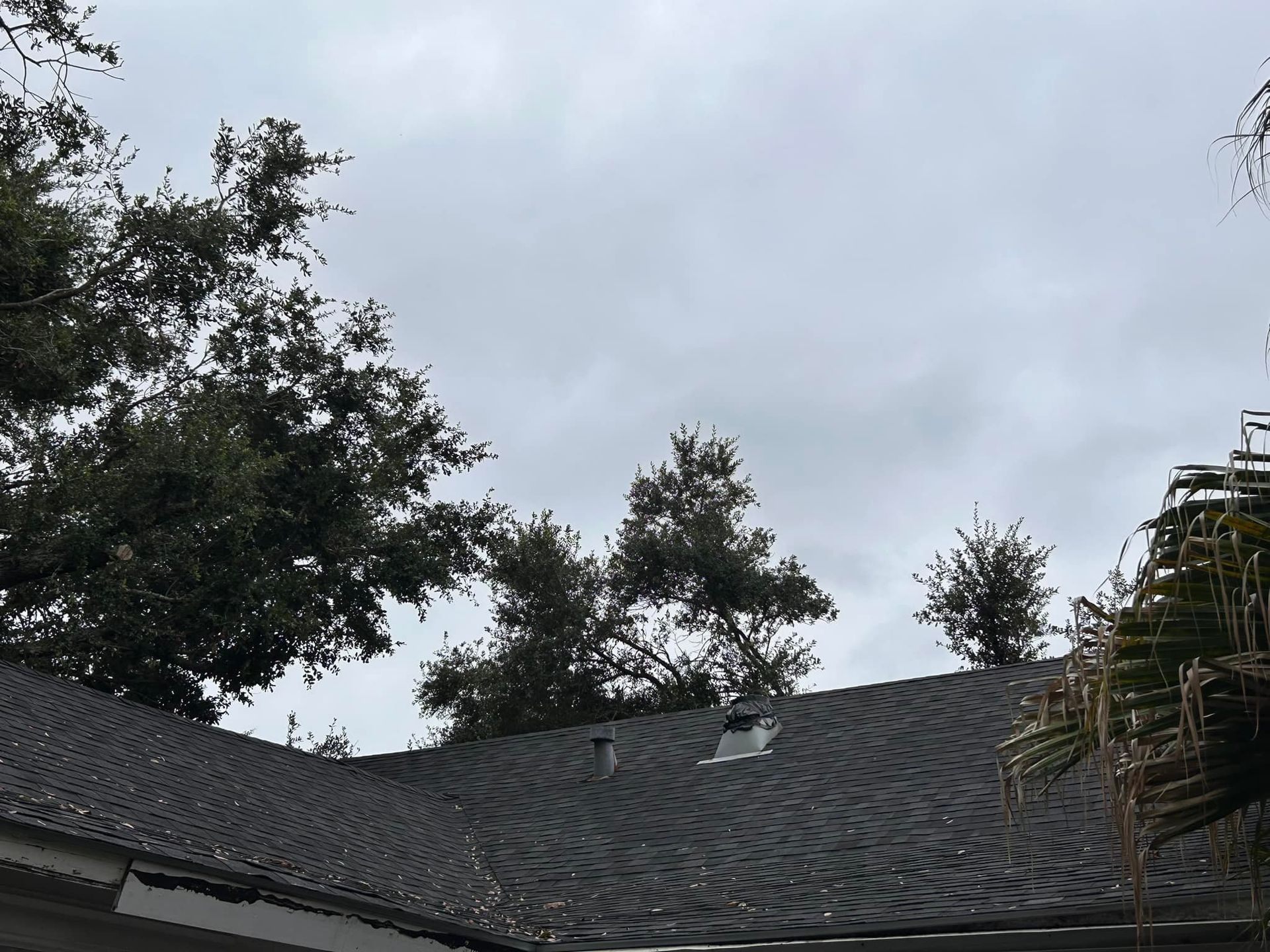 A dark roof with a vent and cloudy sky. Trees frame the roof, with dark green foliage against the overcast.