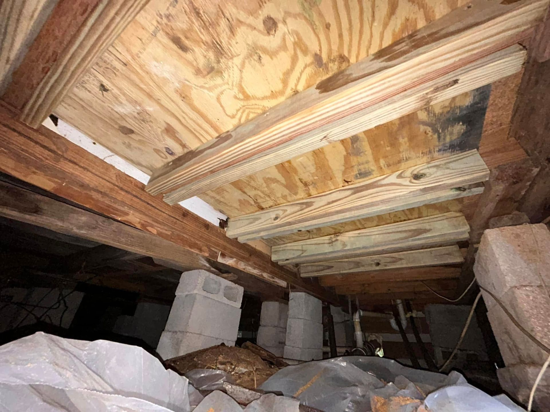 Crawl space view under a house. Wooden beams, plywood subfloor, and concrete blocks support the structure.