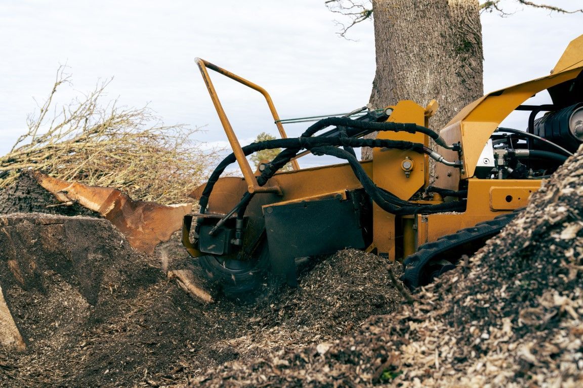 Stump Grinding Cleaning