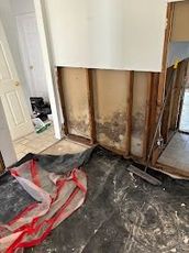 Moldy wall studs with exposed framing; debris and flooring visible. Interior space, likely renovation.