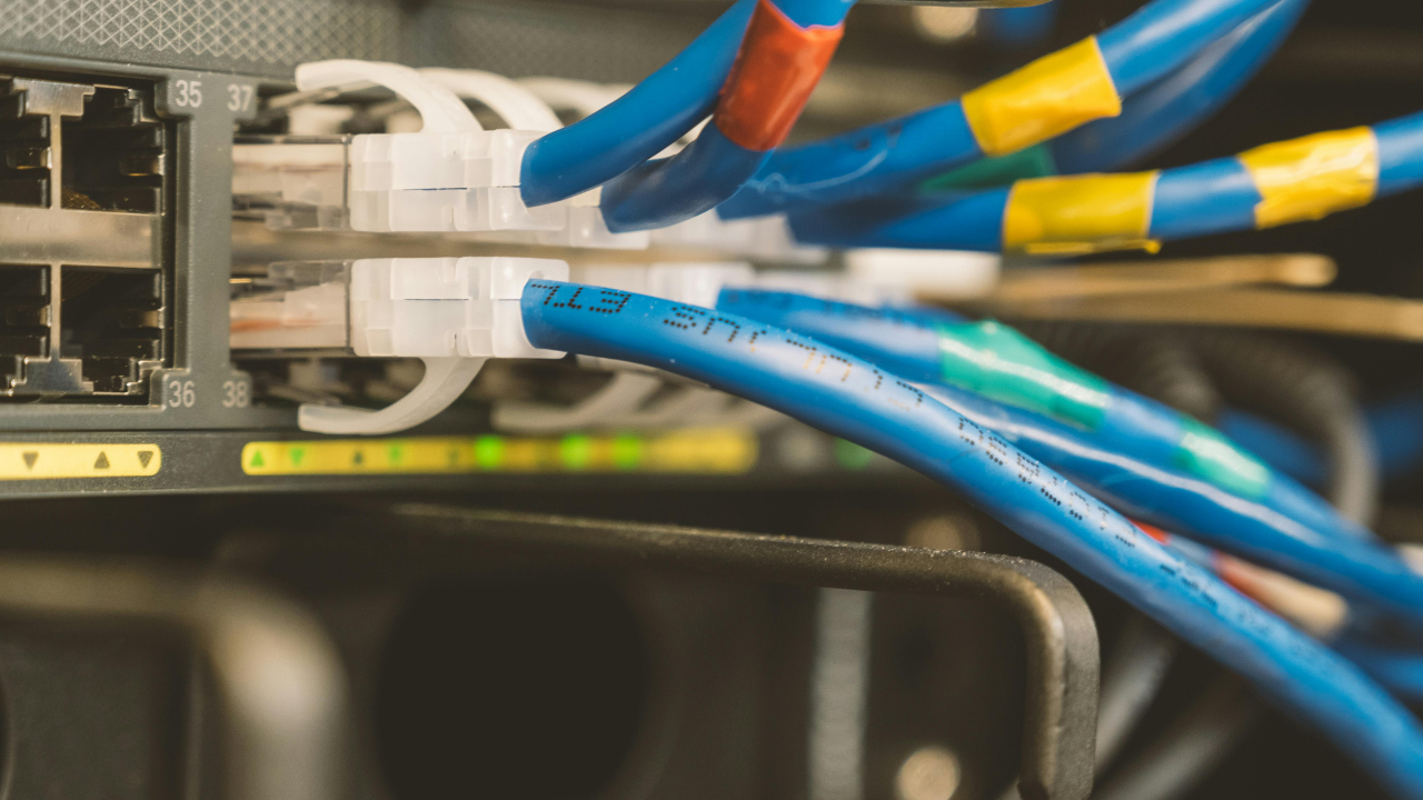 Blue ethernet cables plugged into a network switch, with green and yellow lights.
