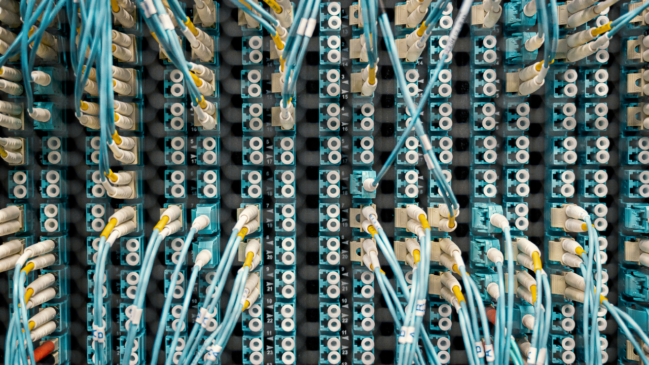 Close-up view of a network panel with numerous blue cables and connectors, organized in a grid.