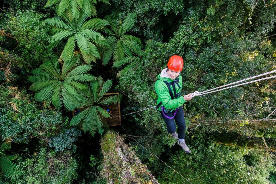 A person is hanging from a rope in the jungle.