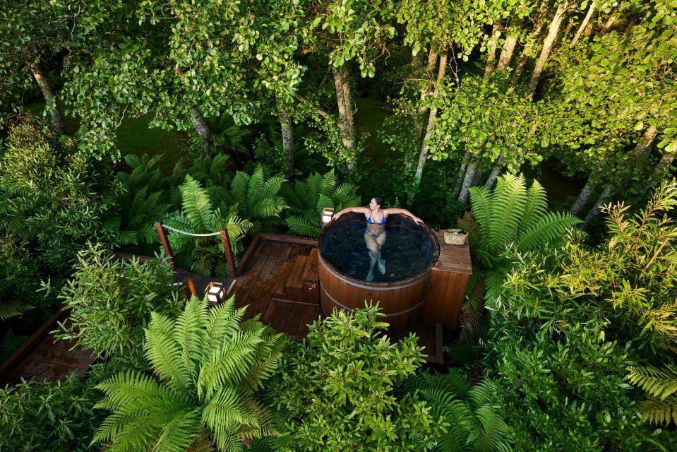 An aerial view of a person in a hot tub in the middle of a forest.
