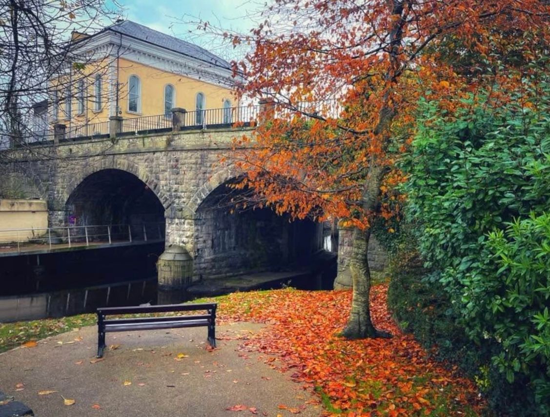 A park scene with a stone ARCH bridge over water, an orange tree, and a bench.
