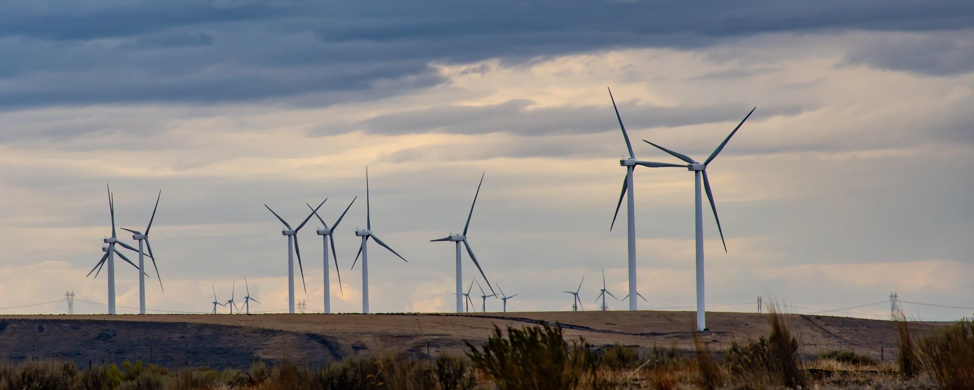 Wind Farm Overview