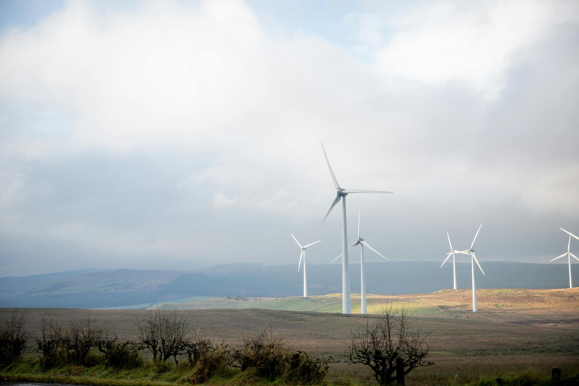 A row of wind turbines are sitting on top of a hill in Ireland