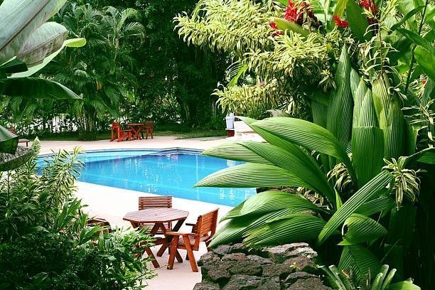 Pool surrounded by lush green tropical plants; wooden furniture nearby.