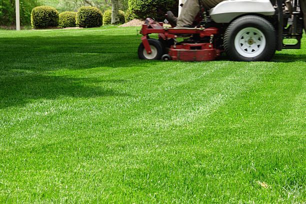 Lawnmower cutting bright green grass, creating stripes. A person drives the red mower in a sunny yard.