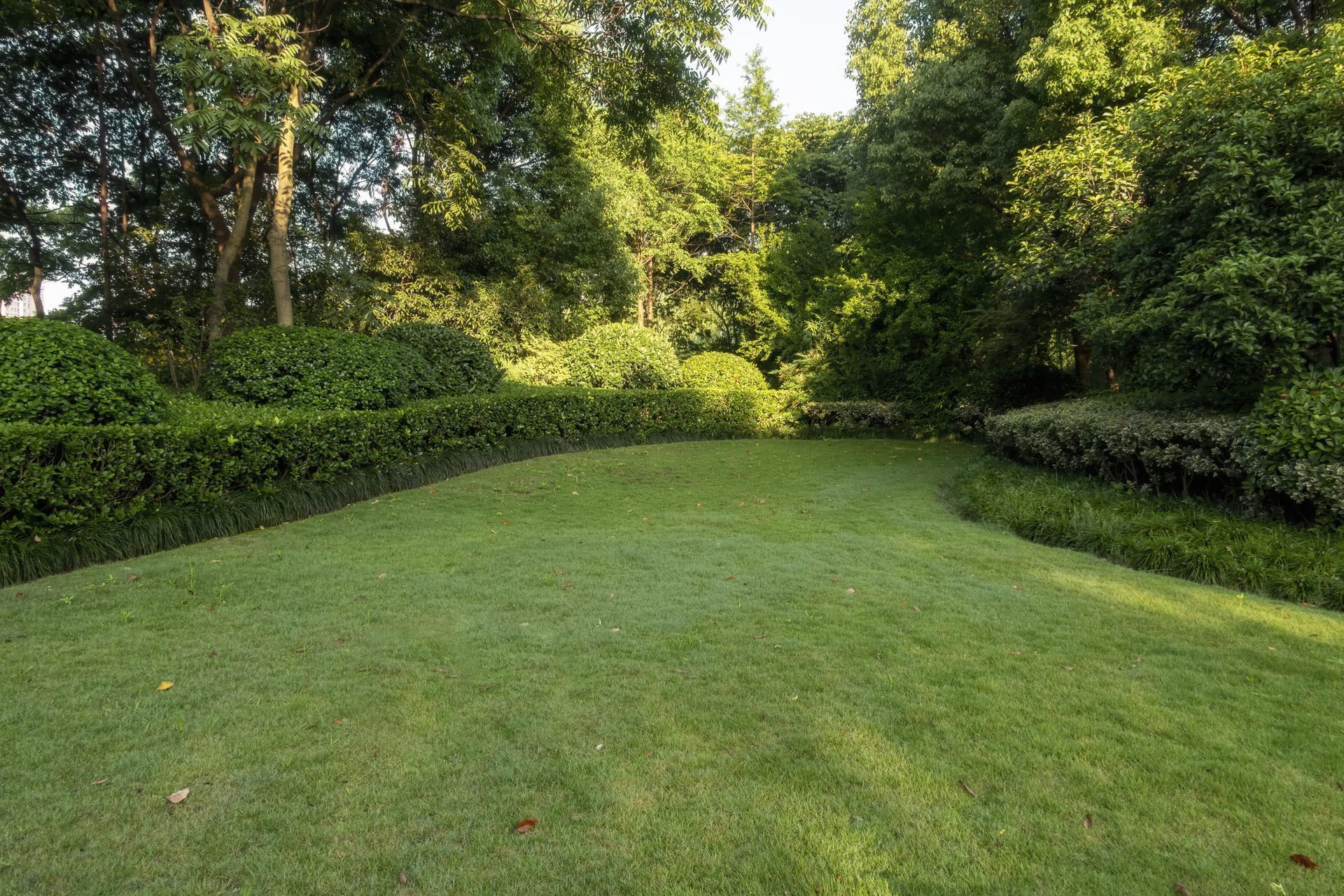 Lush green lawn surrounded by neatly trimmed hedges and trees in a sunny garden.