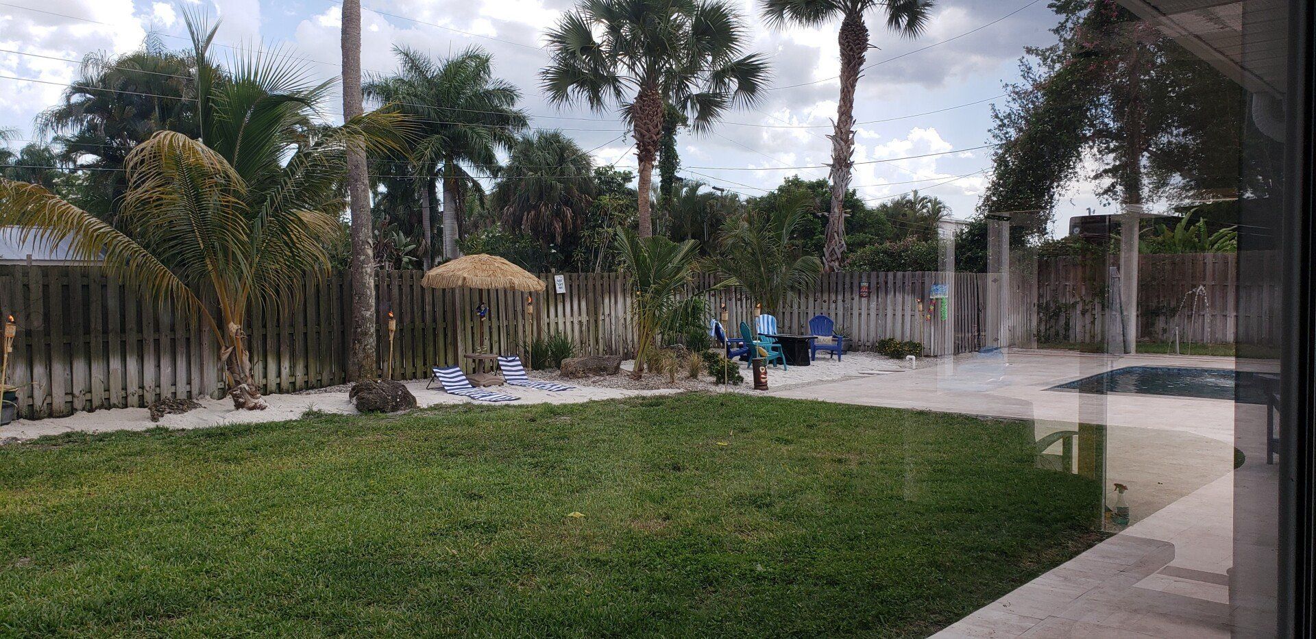 A grassy backyard with a fence, palm trees, and a pool.