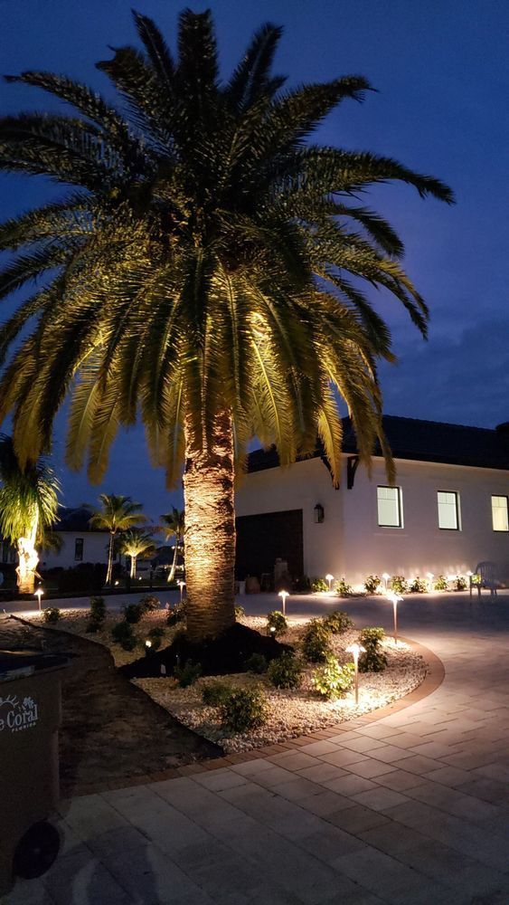Palm tree illuminated at night, with pathway and home lights.