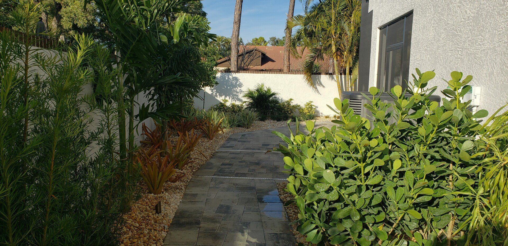 A pathway lined with plants leads to a white wall and a building with a dark door.
