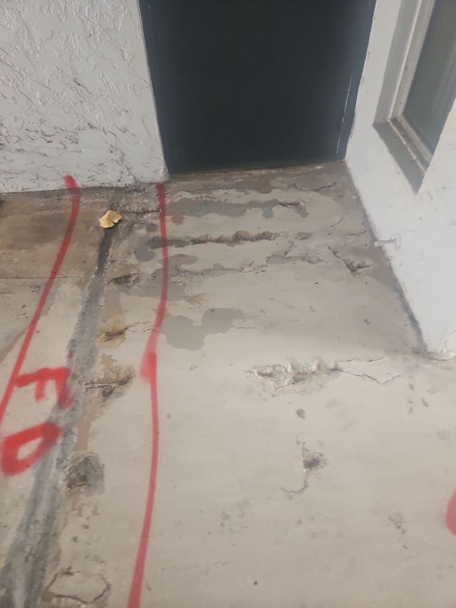 A concrete floor with a door and a window in the background.