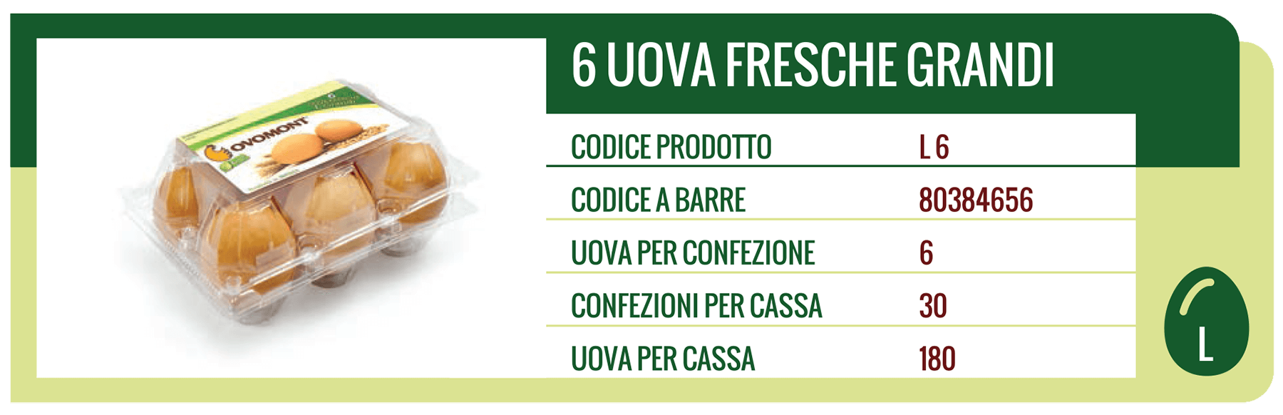 Sei grandi uova fresche in un contenitore di plastica con etichetta con i dettagli.