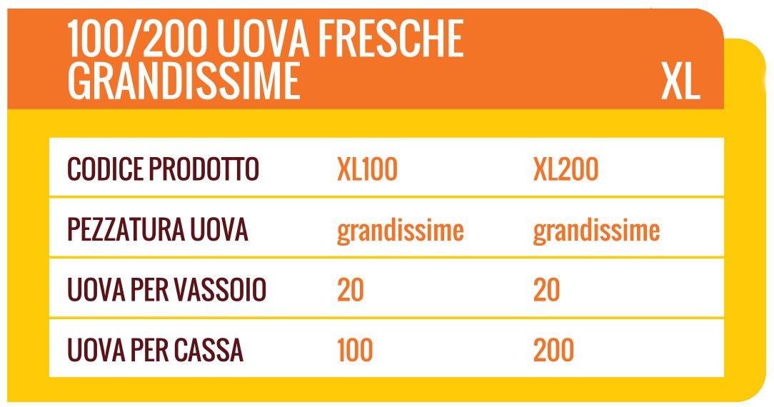 Tabella informativa per uova fresche extra large. Elenca i codici prodotto, le dimensioni delle uova, le uova per vassoio e le uova per cassa.