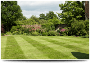 For landscaping services in Stourbridge call Bridgwater Landscapes