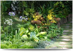 For garden designers in Stourbridge call Bridgwater Landscapes