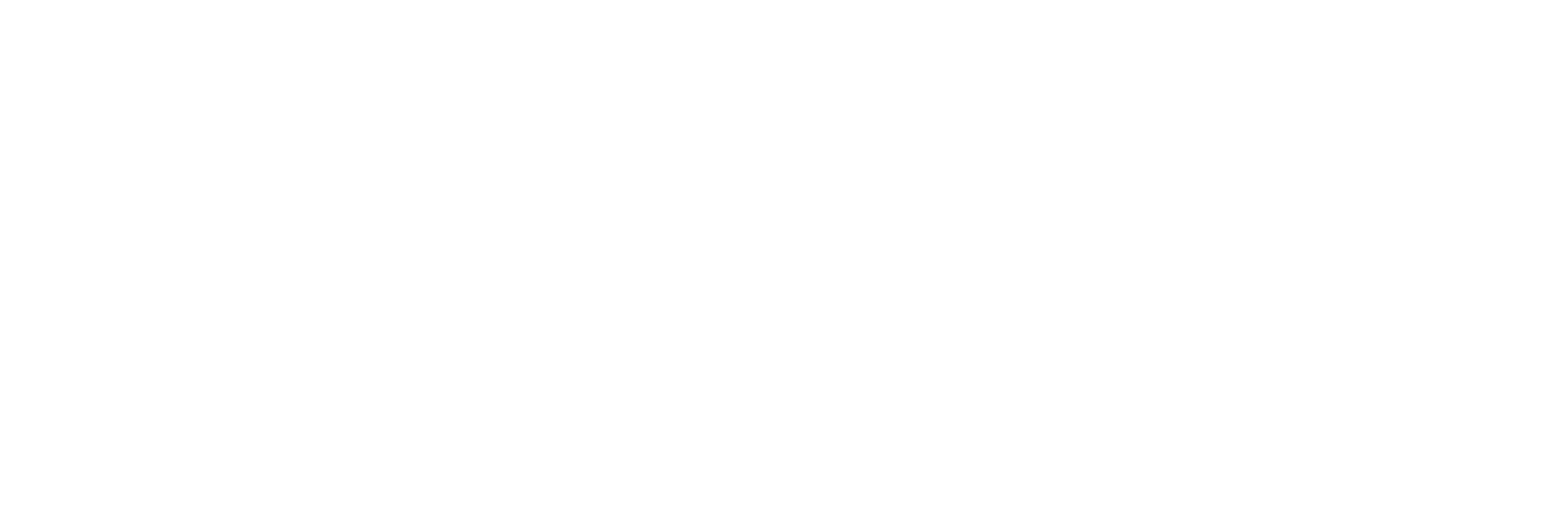 Advanced Insurance Group