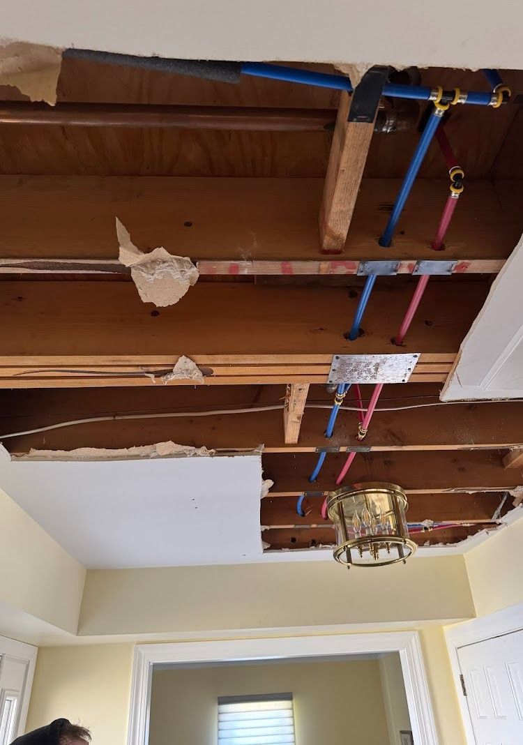 Ceiling with exposed plumbing pipes: blue, pink, and copper. Damaged drywall reveals beams and light fixture.