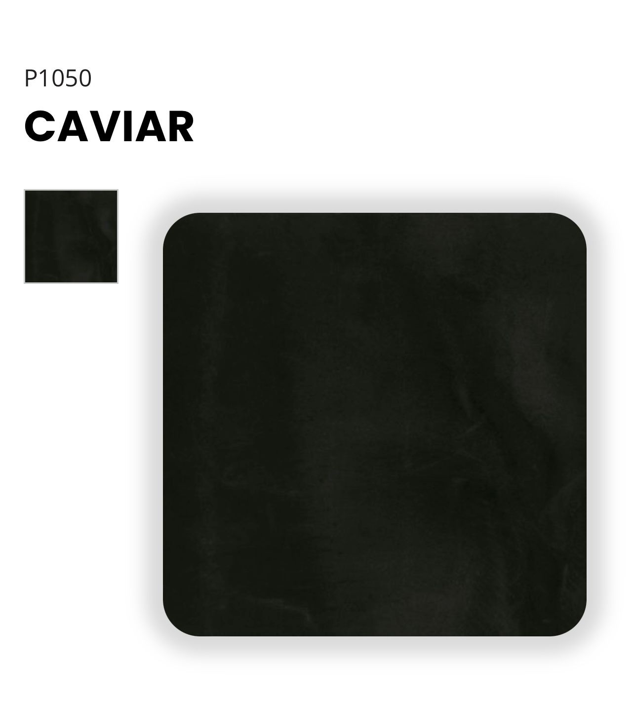 Elite Surface Coatings -P1050 Caviar, a dark black square sample.