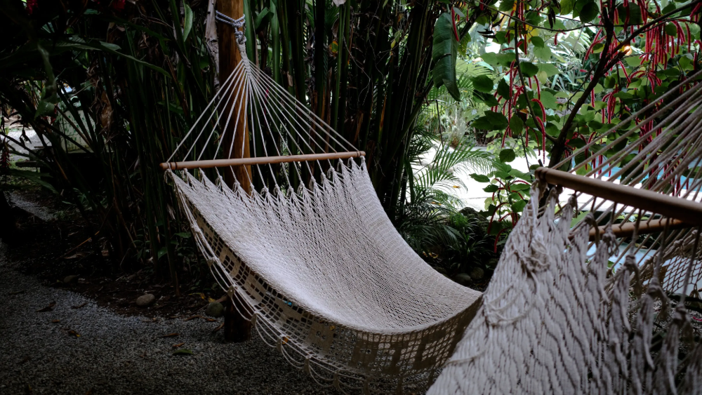 White hammock strung between wooden posts, surrounded by lush greenery.
