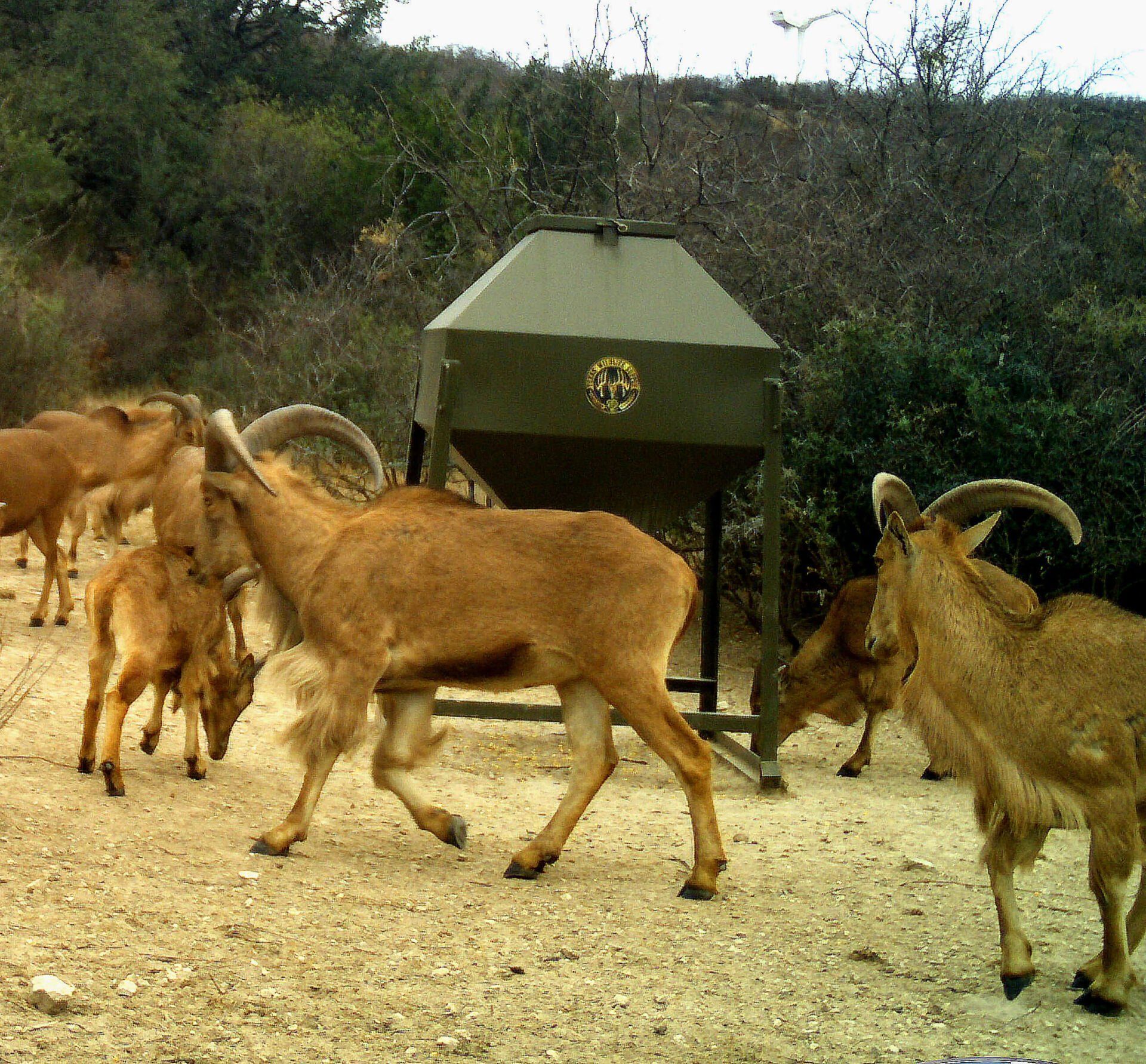RUGED BROADCAST FEEDERS
