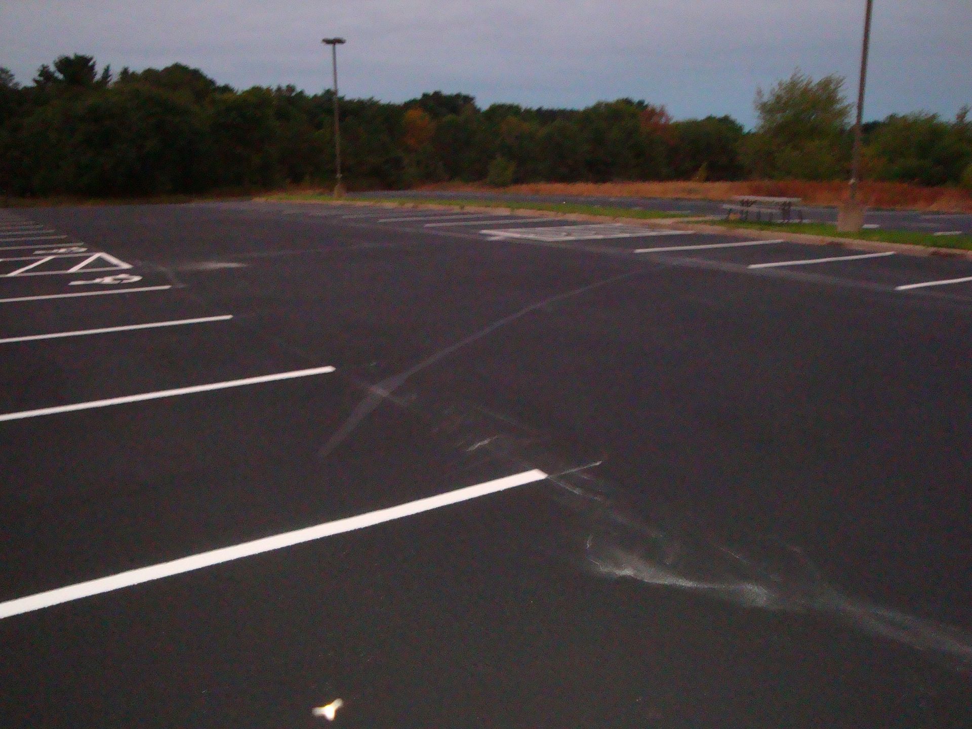 Empty asphalt parking lot with white lines and tire marks, trees in the background under an overcast sky.