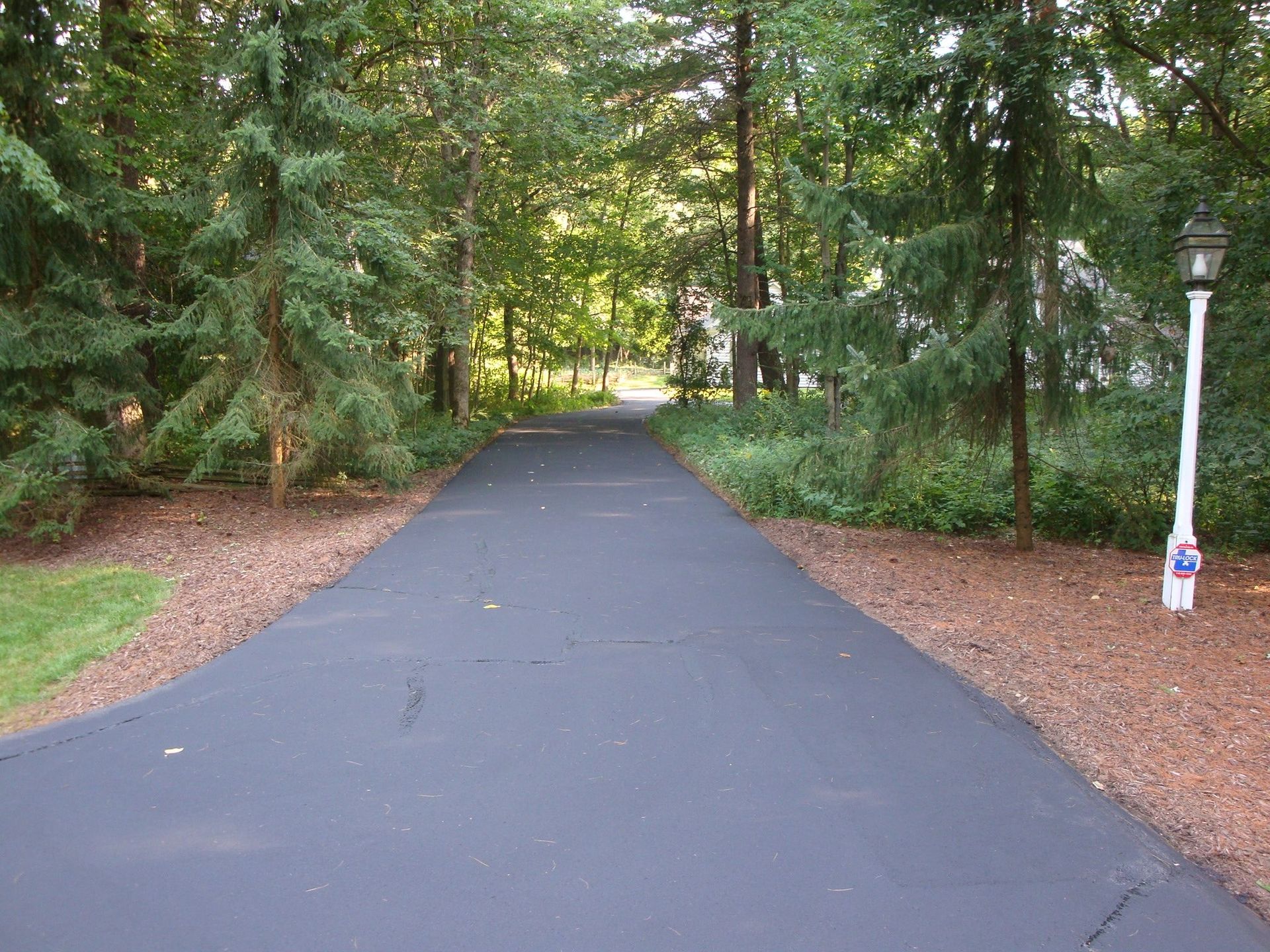 Paved driveway winding through a wooded area with trees and a lamp post.