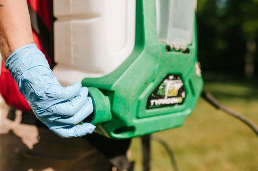 Gloved hand holding a green power tool against an outdoor grassy background