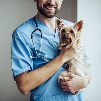 Pet Vaccine Clinic — Vet Carrying Dog in Newbury Park, CA