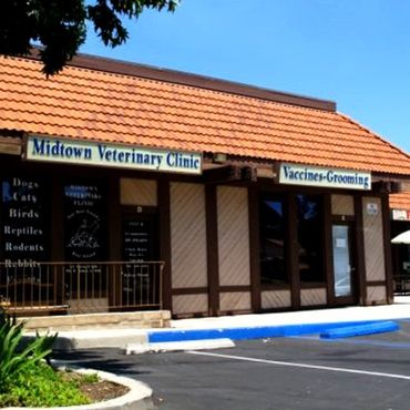 Spay Neuter Clinic — Midtown Veterinary Clinic in Newbury, CA
