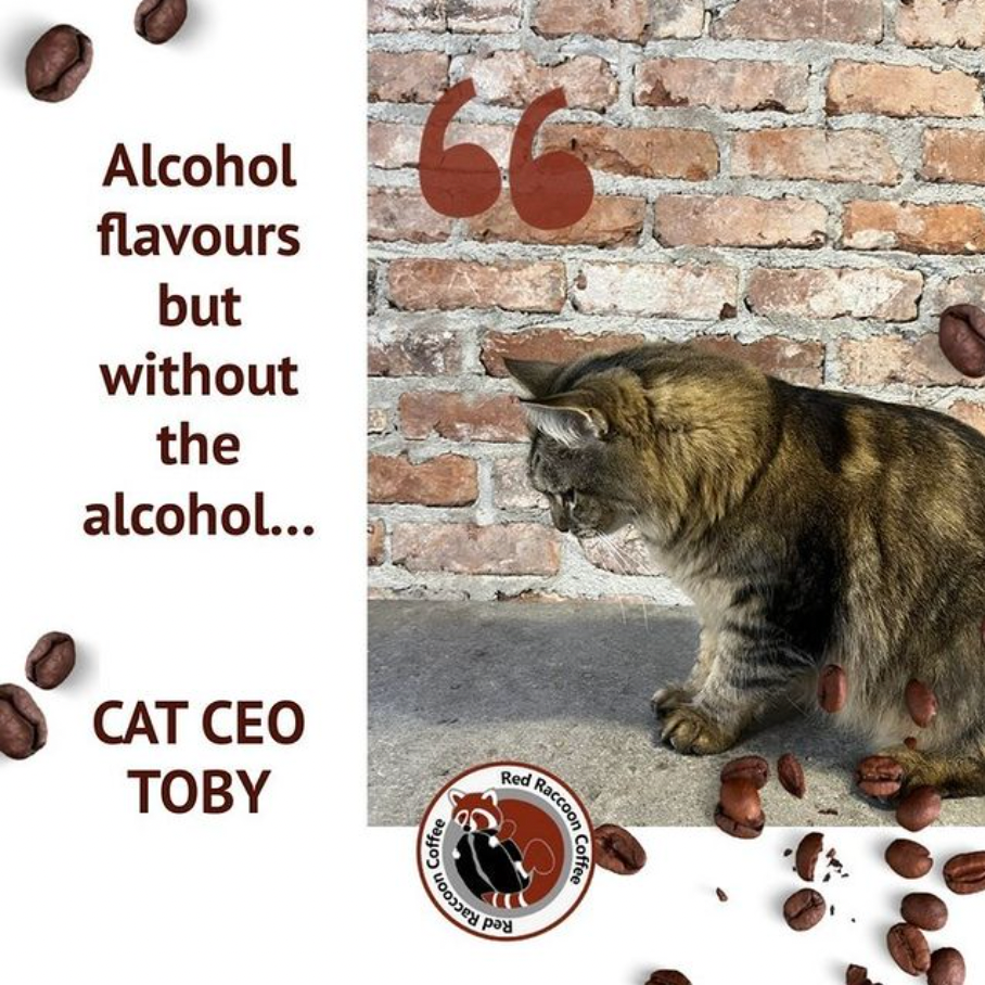 Cat with coffee beans near a brick wall, text says 