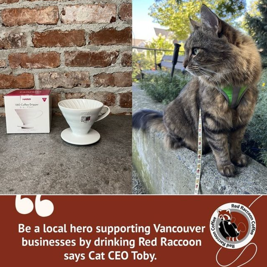 Cat wearing a harness next to coffee supplies, advertising Vancouver business, Red Raccoon Coffee, with text “Be a local hero” and 